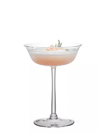 SNCOCK041 cocktail glass