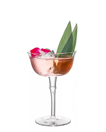 SNCOCK084 cocktail glass