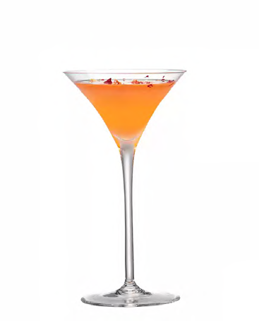SNCOCK017 cocktail glass