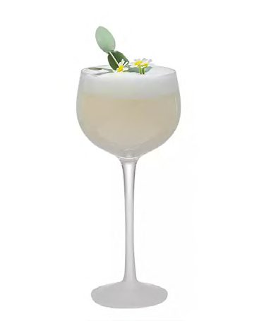 SNCOCK051 cocktail glass