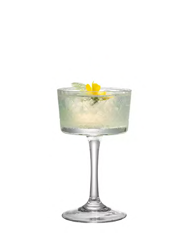 SNCOCK063 cocktail glass