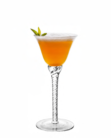 SNCOCK071 cocktail glass
